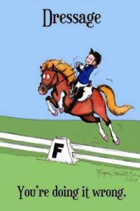 dressage done wrong