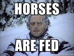 horses are fed